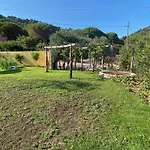 La Cellula Marina di Campo