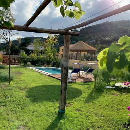 La Cellula Dom wakacyjny Marina di Campo