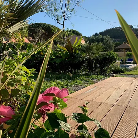 La Cellula Marina di Campo