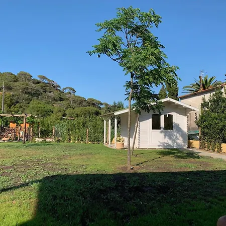 La Cellula Dom wakacyjny Marina di Campo