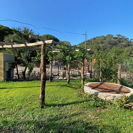 La Cellula Dom wakacyjny Marina di Campo